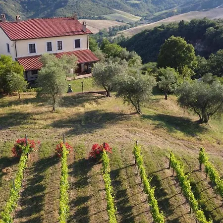Il Poggio Dell'artilla Castiglione In Teverina